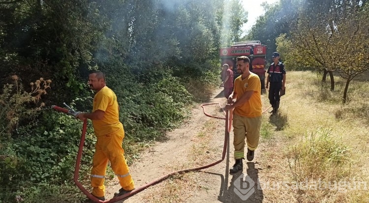 Bursa'da İznik Gölü kenarında çıkan yangında 15 dönüm arazi küle döndü!