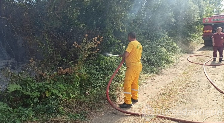 Bursa'da İznik Gölü kenarında çıkan yangında 15 dönüm arazi küle döndü!