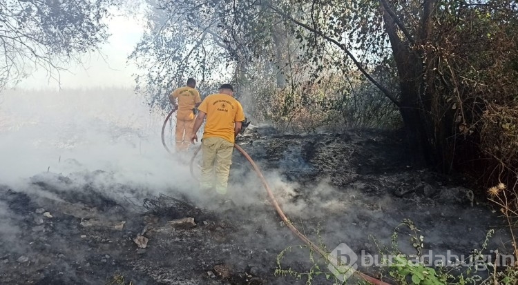 Bursa'da İznik Gölü kenarında çıkan yangında 15 dönüm arazi küle döndü!