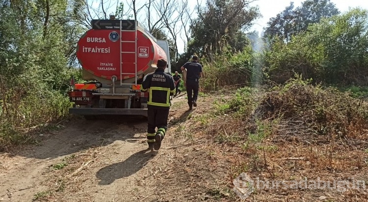 Bursa'da İznik Gölü kenarında çıkan yangında 15 dönüm arazi küle döndü!
