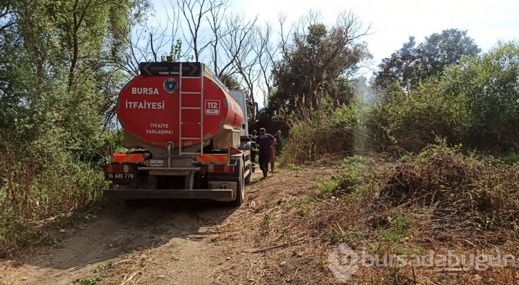 Bursa'da İznik Gölü kenarında çıkan yangında 15 dönüm arazi küle döndü!