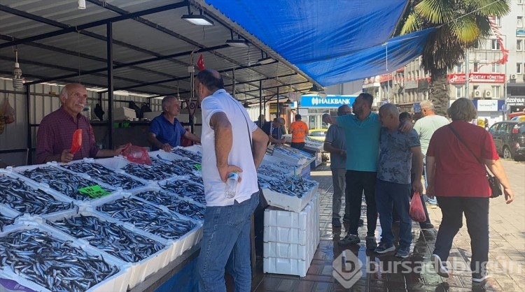 Deniz suyunun sıcaklığı balık miktar ve fiyatını olumsuz etkiliyor