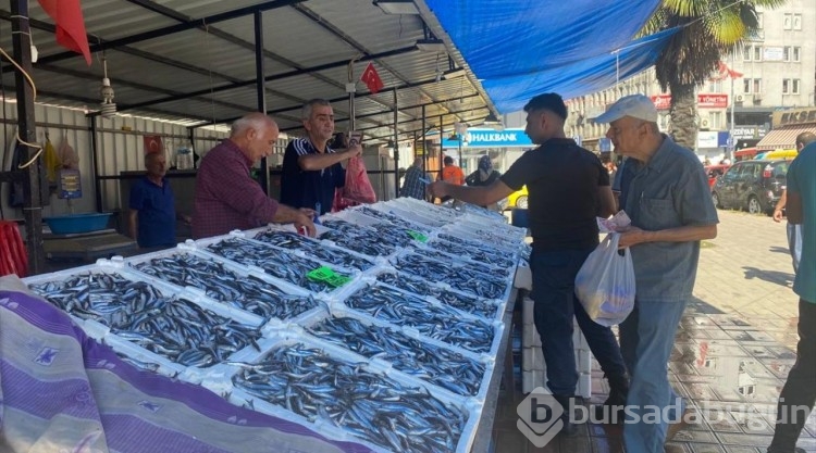 Deniz suyunun sıcaklığı balık miktar ve fiyatını olumsuz etkiliyor