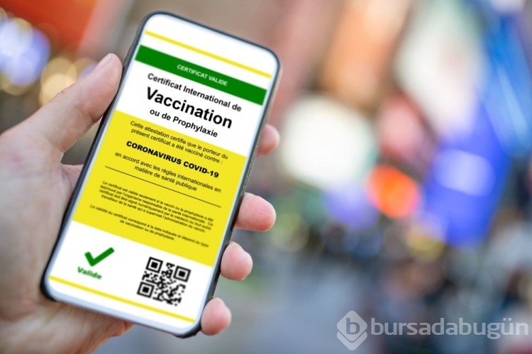 Aşı kartı nasıl alınır, hangi ülkelerde geçerli?