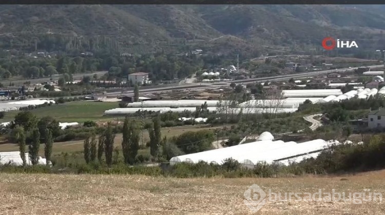 'Küçük Antalya' adeta üretim merkezi haline geldi!