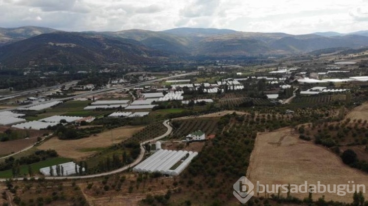 'Küçük Antalya' adeta üretim merkezi haline geldi!