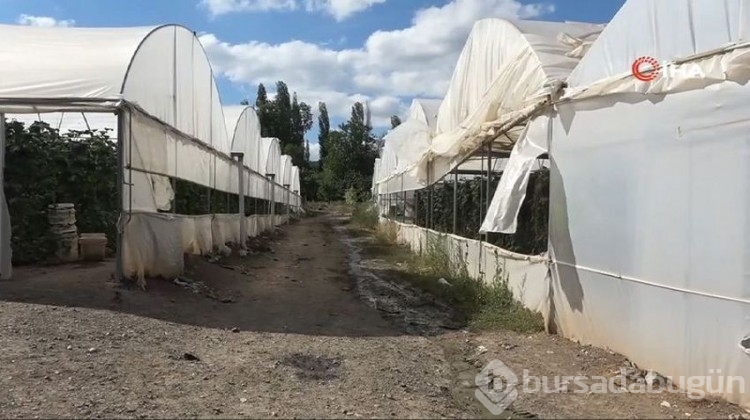 'Küçük Antalya' adeta üretim merkezi haline geldi!