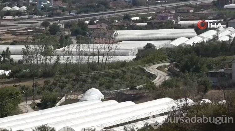 'Küçük Antalya' adeta üretim merkezi haline geldi!