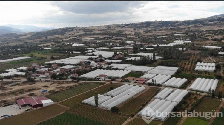 'Küçük Antalya' adeta üretim merkezi haline geldi!