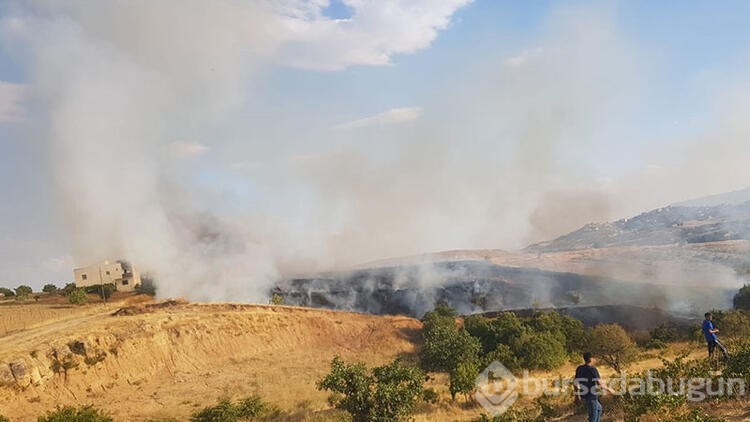 Siirt'te çıkan yangında 20 dönüm fıstık ve üzüm bağı zarar gördü