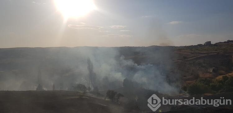 Siirt'te çıkan yangında 20 dönüm fıstık ve üzüm bağı zarar gördü