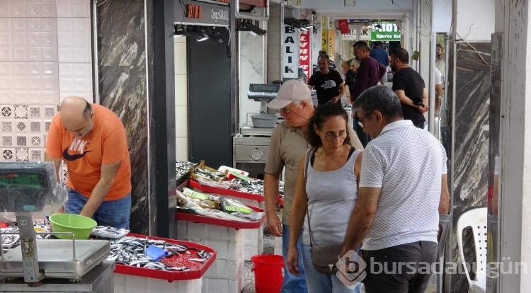 İlk palamutlar tezgahlarda! İşte fiyatı...

