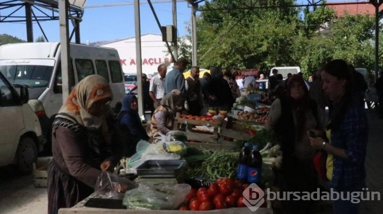 Çeltik tarlalarında hasat başladı