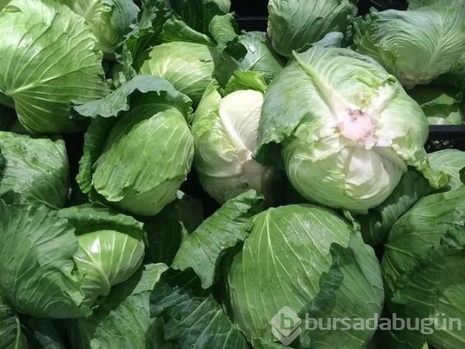 Ender Saraç'tan Kilo Verdiren Çorba Tarifi!
