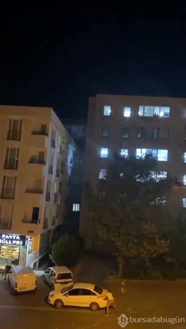 Esenyurt'ta kedi için silahlı çatışma