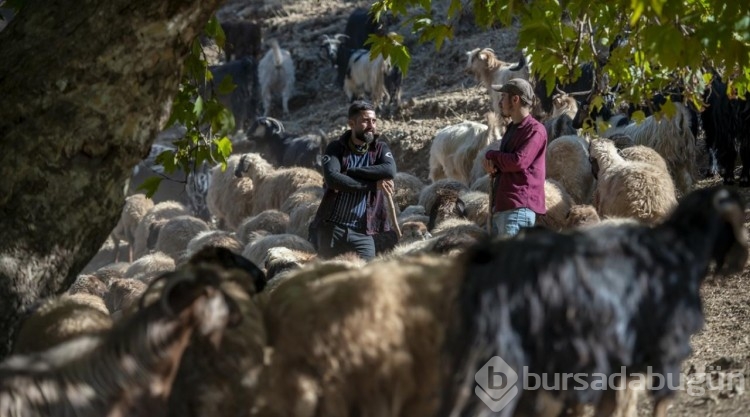 İran saldırısından korkan Erbil'deki göçerler yaylalarını terk etti