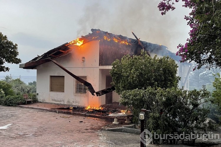 İtalya'nın Sicilya Adası'nda Orman Yangını
