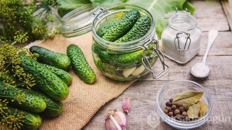 Somer Şef en iyi turşuyu kurmak için tarif verdi!