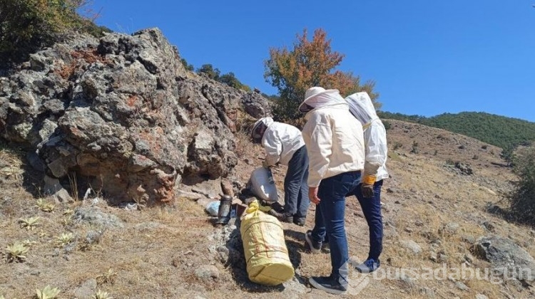 Her sabah 1 kaşık yiyorlar, doktora gitmeden yaşıyorlar
