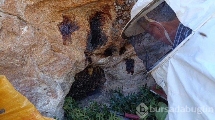 Her sabah 1 kaşık yiyorlar, doktora gitmeden yaşıyorlar