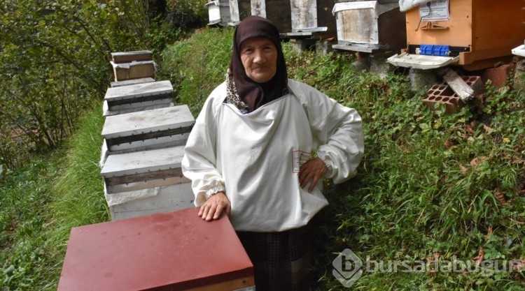 Karadenizli kadın arıcı 38 yıldır bal üretiyor