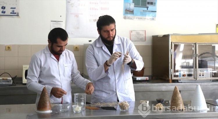 Kenevir lifinden roket burun konisi ürettiler