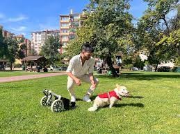 Eskişehir'de köpeği felç kalan genç Müslüman oldu