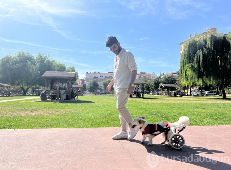 Eskişehir'de köpeği felç kalan genç Müslüman oldu