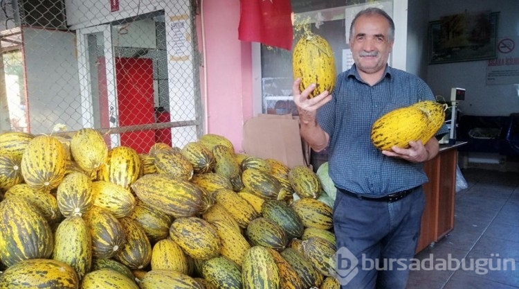 Narmikan kavunu tezgahlarda yerini aldı