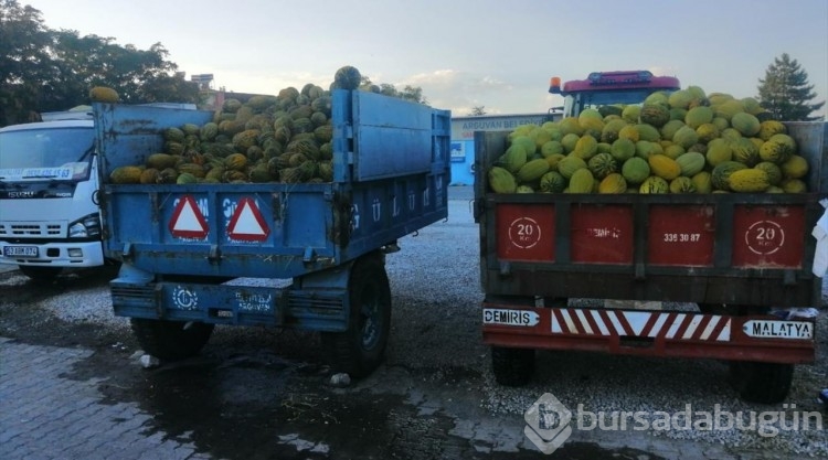 Narmikan kavunu tezgahlarda yerini aldı