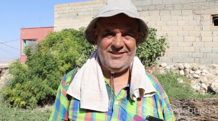 Siirt'te "Beyaz öncü" kelebeği