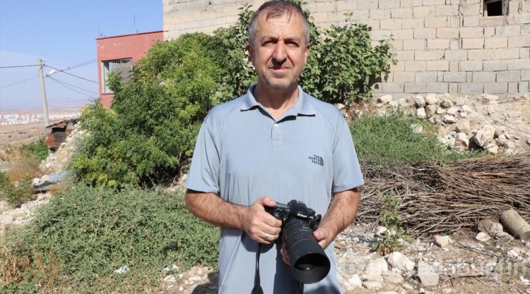 Siirt'te "Beyaz öncü" kelebeği