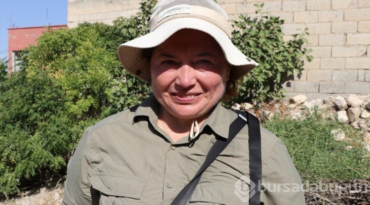 Siirt'te "Beyaz öncü" kelebeği