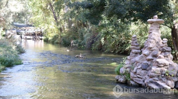 Yeni canlı türleri tespit edildi: Turistler akın ediyor