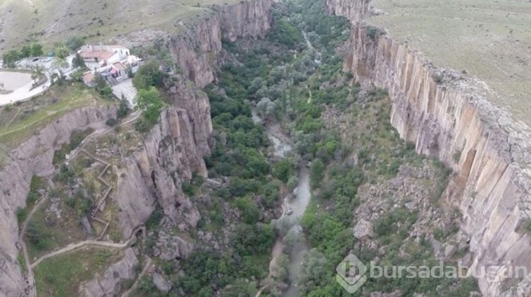 Yeni canlı türleri tespit edildi: Turistler akın ediyor