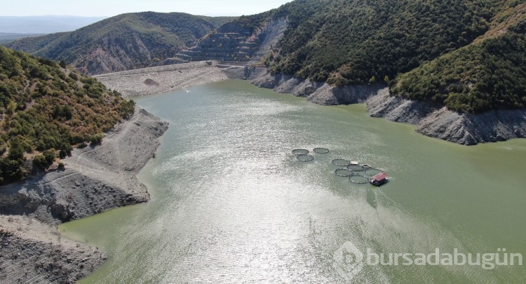 Kastamonu'da balık kafesleri yırtıldı, oltasını alan baraja koştu!