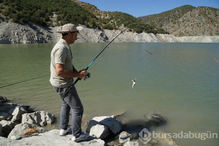 Kastamonu'da balık kafesleri yırtıldı, oltasını alan baraja koştu!