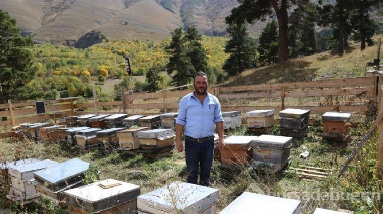 Yeşil bal 20 bin liradan alıcı buluyor!