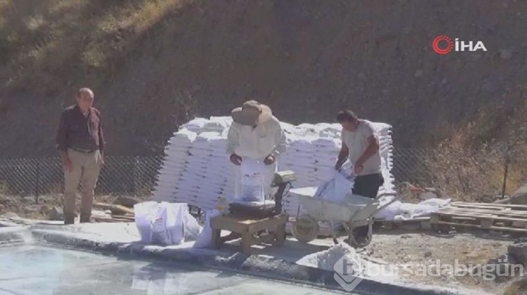 Türkiye'de 2 bin yıllık geçmişi var, Himalaya'ya taş çıkartır!