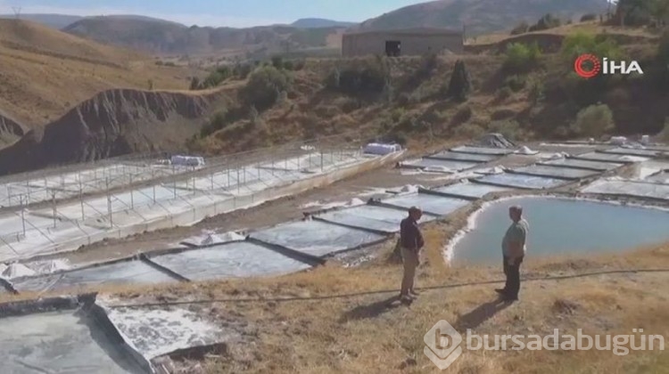 Türkiye'de 2 bin yıllık geçmişi var, Himalaya'ya taş çıkartır!