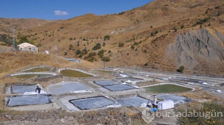 Türkiye'de 2 bin yıllık geçmişi var, Himalaya'ya taş çıkartır!