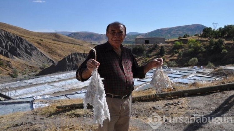 Türkiye'de 2 bin yıllık geçmişi var, Himalaya'ya taş çıkartır!