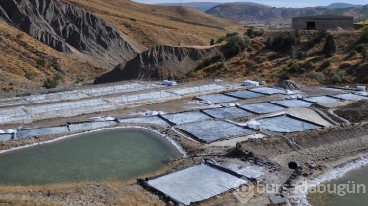 Türkiye'de 2 bin yıllık geçmişi var, Himalaya'ya taş çıkartır!