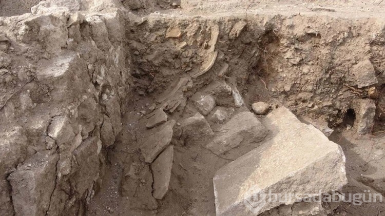 Assos Antik Kenti'nde 1800 yıllık kaplar bulundu