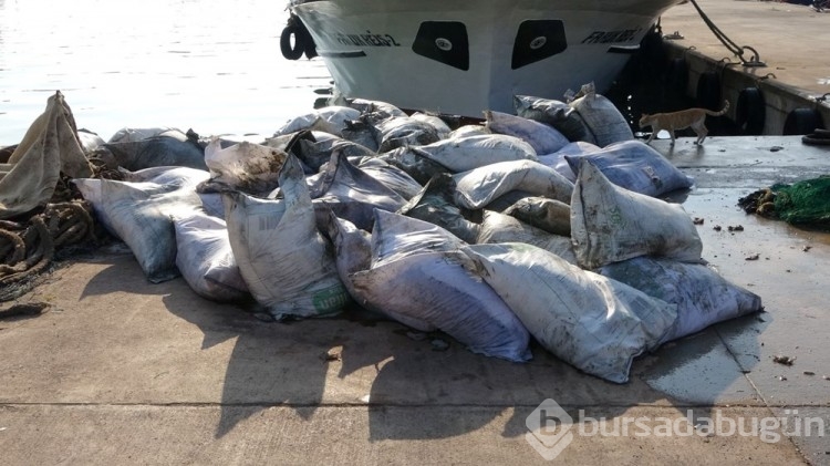 Denizden balık yerine pirinç çıktı