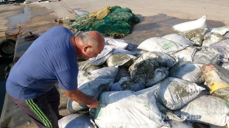 Denizden balık yerine pirinç çıktı