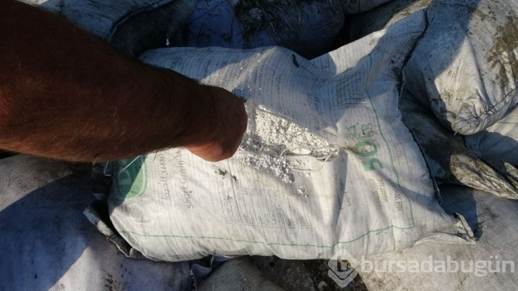 Denizden balık yerine pirinç çıktı