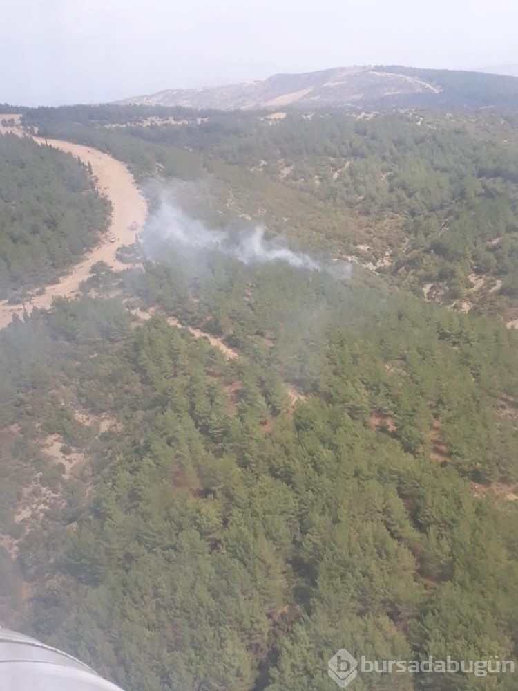 Gelibolu'da orman yangını