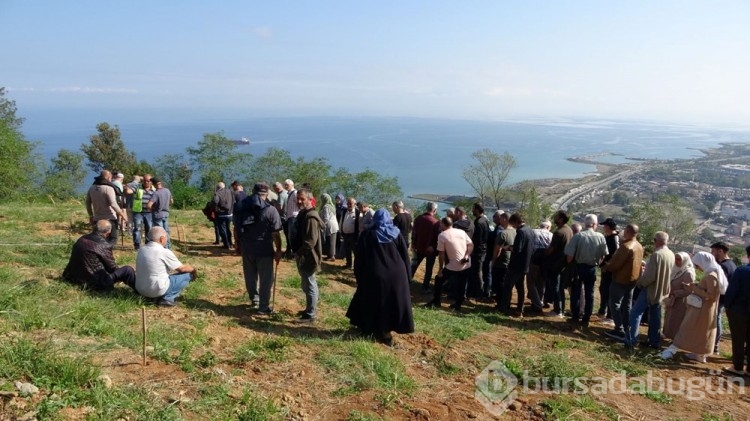Deniz manzaralı mezar için birbirine girdiler