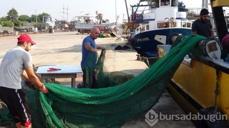 Balık diye çıktılar, ağları çekince şoke oldular!